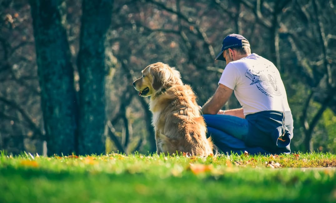 5 Ways to Help Your Senior Dog Feel Less Anxious