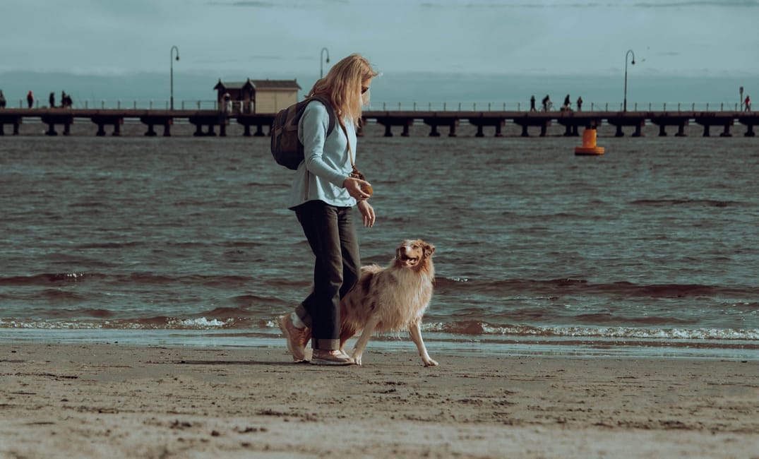 12 Emotions Every Senior Dog Owner Feels (But Doesn’t Say)