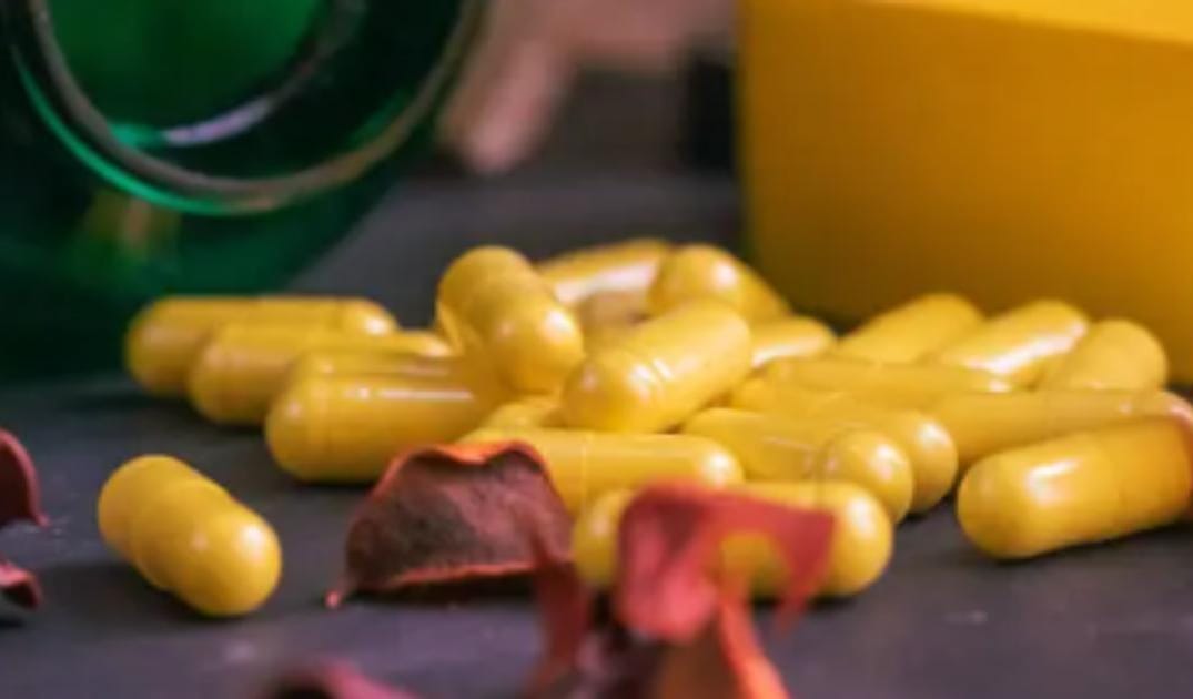 Berberine for Dogs? The Natural Metformin Alternative Gaining Popularity in Longevity Circles