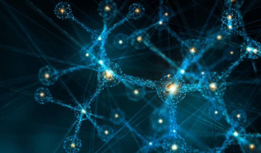 Reversing Dog Dementia: New Protocols Using Selegiline, MCTs, DHA, & Brain-Boosting Peptides