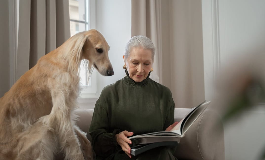 12 Sweet Traditions to Start With Your Aging Dog