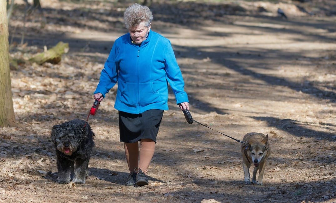 10 Quiet Activities You Can Do Together Every Day