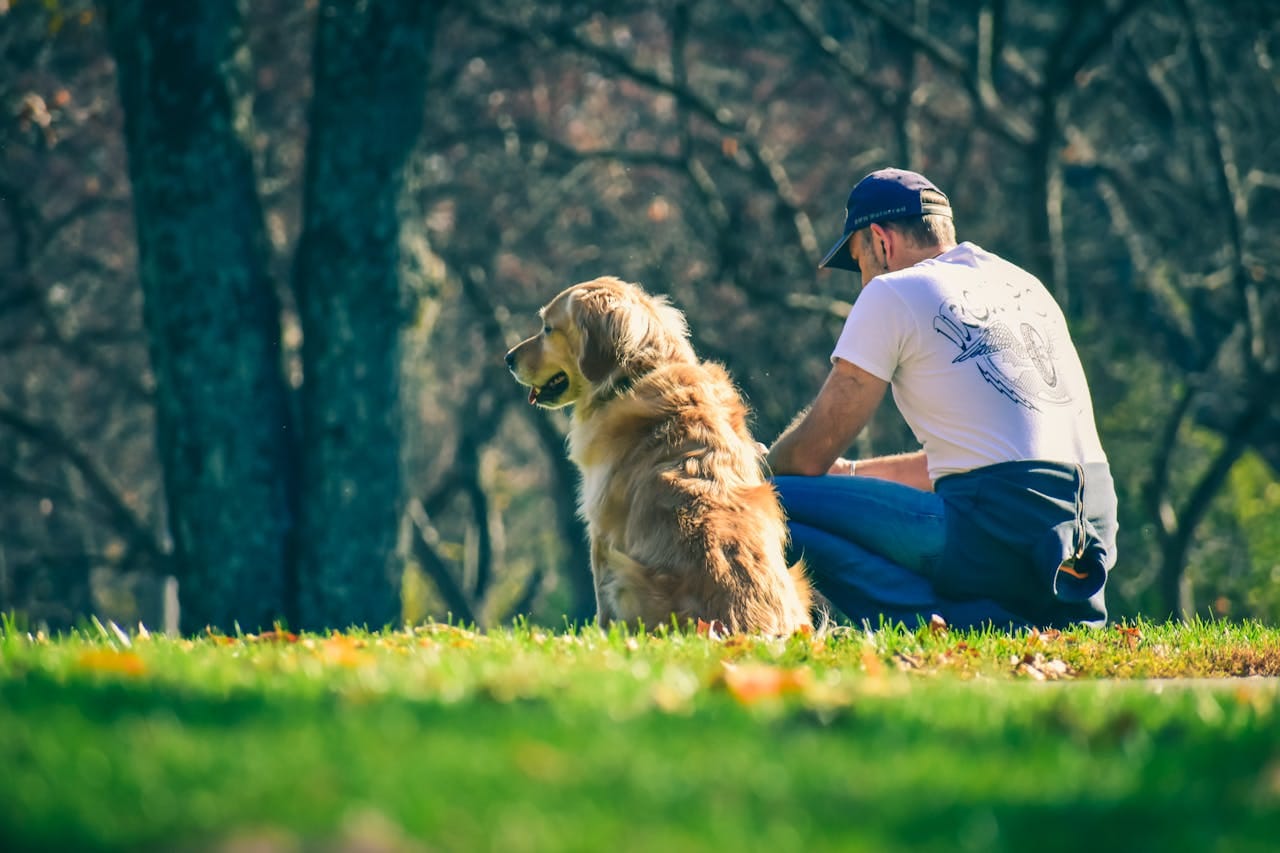 5 Ways to Help Your Senior Dog Feel Less Anxious