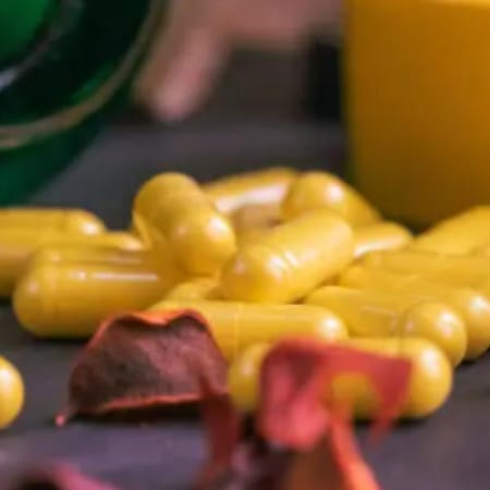 Image of: Berberine for Dogs? The Natural Metformin Alternative Gaining Popularity in Longevity Circles