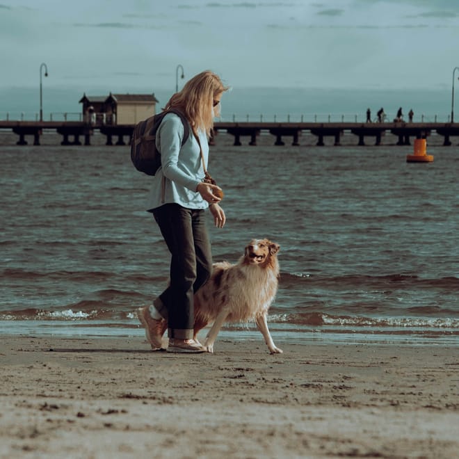 Image of: 12 Emotions Every Senior Dog Owner Feels (But Doesn’t Say)