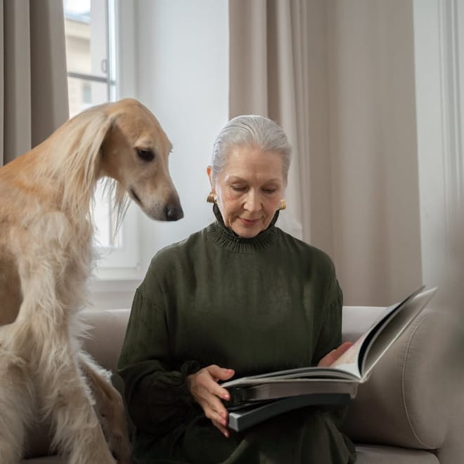 Image of: 12 Sweet Traditions to Start With Your Aging Dog